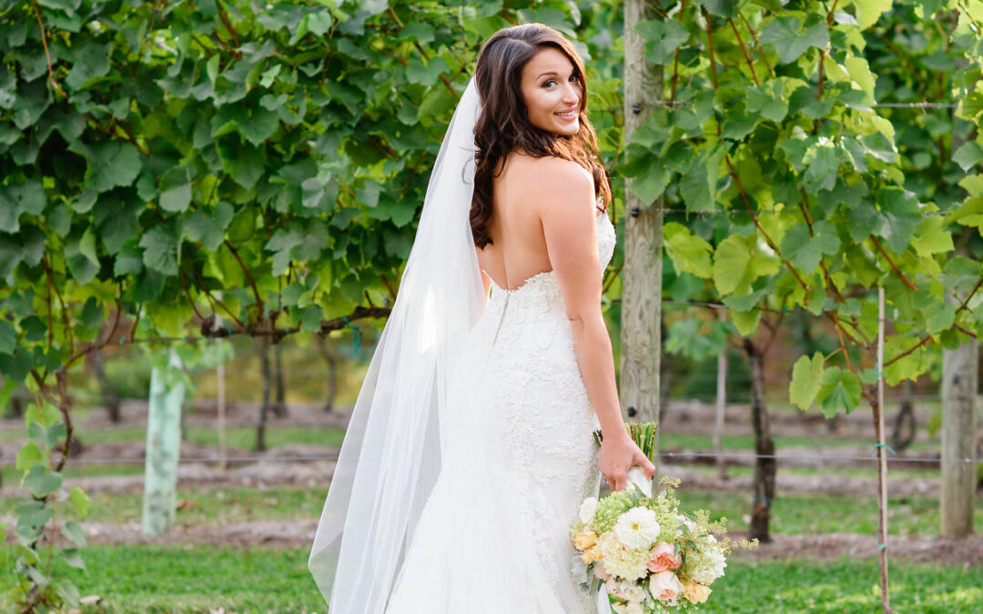 Veritas Vineyard Wedding: Sydney and Brook