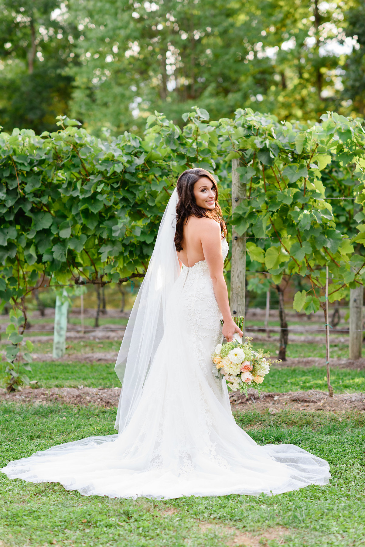 Bride poses in the vineyard before her Veritas Vineyard wedding ceremony.