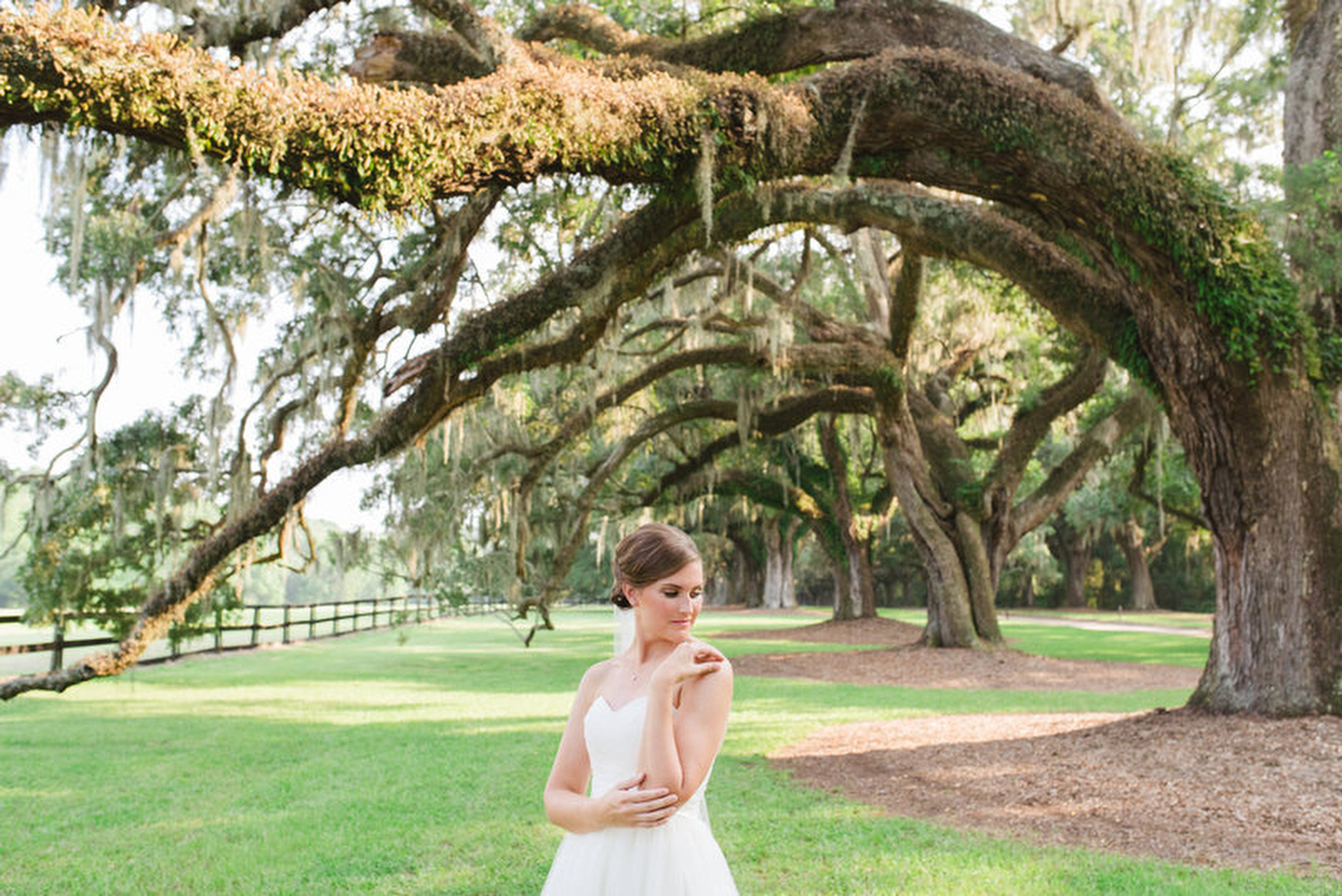 A bride poses in the Ave of Oaks during her summer Boone Hall bridal photos session.