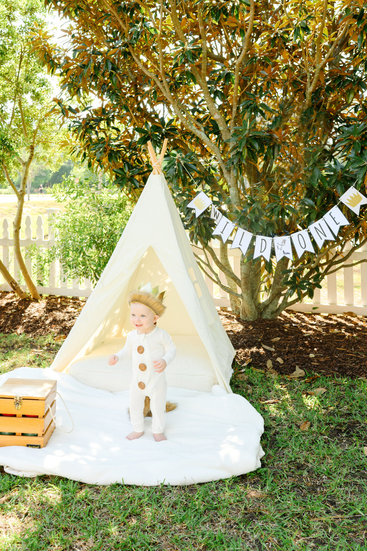 JK-23 A baby is dressed as Max from Where the Wild Things Are for his birthday photos